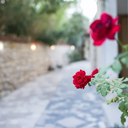 Apartment Blue Pag * Паг