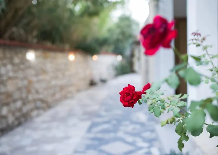 Apartment Blue Pag * Паг